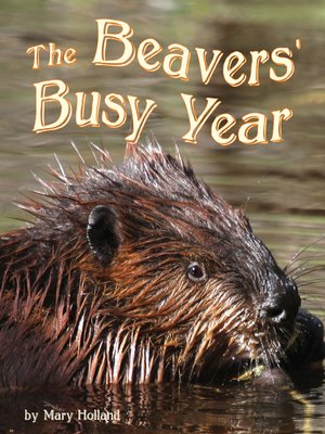 cover image of The Beavers' Busy Year